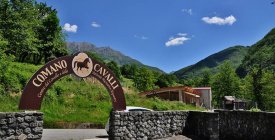 Centro del Cavallo - Comano MS